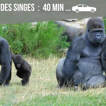 Le Nanty - Duplex Cosy Et Central- Acces Gare Et Centre Appartement *