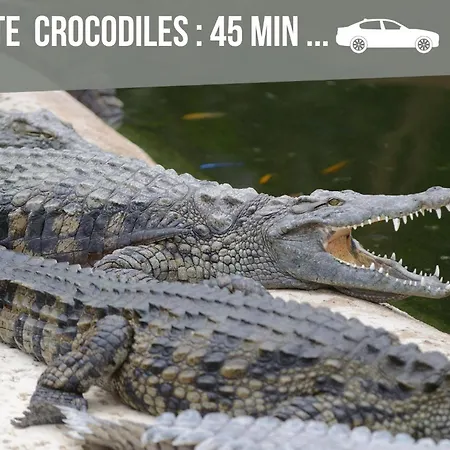 Le Nanty - Duplex Cosy Et Central- Acces Gare Et Centre Appartement Poitiers