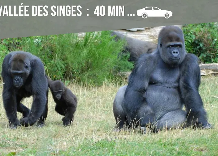 Le Nanty - Duplex Cosy Et Central- Acces Gare Et Centre 公寓 *