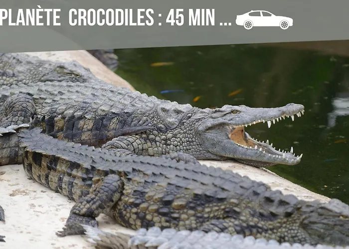 Le Nanty - Duplex Cosy Et Central- Acces Gare Et Centre 公寓 普瓦捷