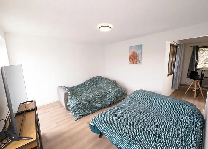 Apartment Le Nanty - Duplex Cosy Et Central- Acces Gare Et Centre Poitiers